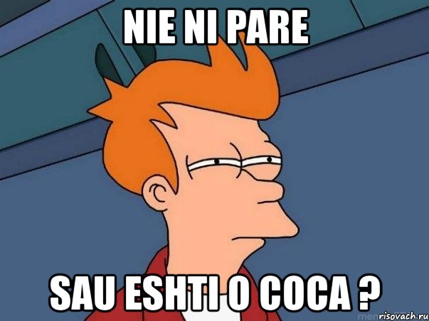 nie ni pare sau eshti o coca ?, Мем  Фрай (мне кажется или)