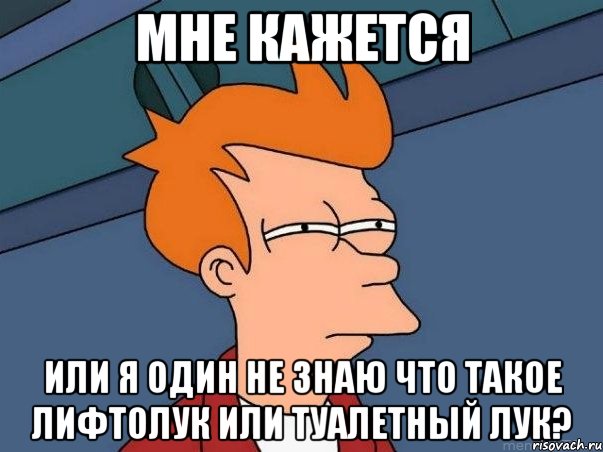 мне кажется или я один не знаю что такое лифтолук или туалетный лук?, Мем  Фрай (мне кажется или)