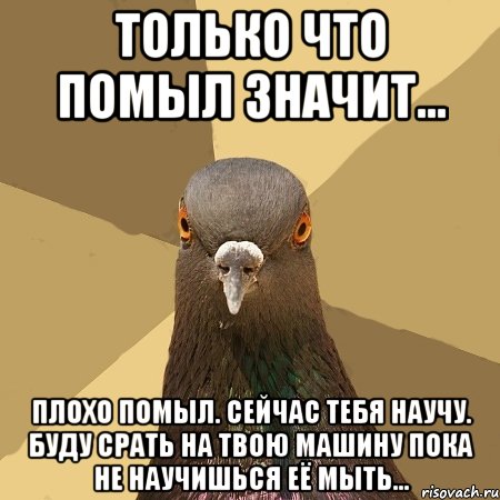 только что помыл значит... плохо помыл. сейчас тебя научу. буду срать на твою машину пока не научишься её мыть...