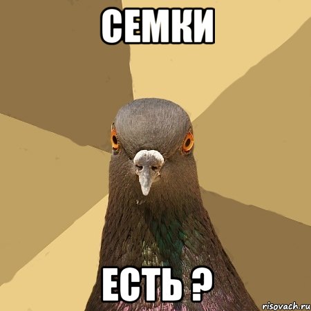 семки есть ?