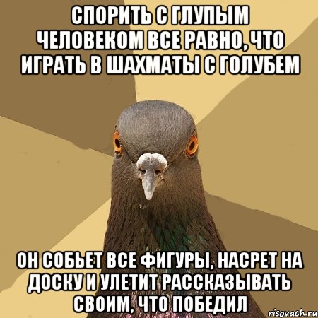 спорить с глупым человеком все равно, что играть в шахматы с голубем он собьет все фигуры, насрет на доску и улетит рассказывать своим, что победил, Мем голубь