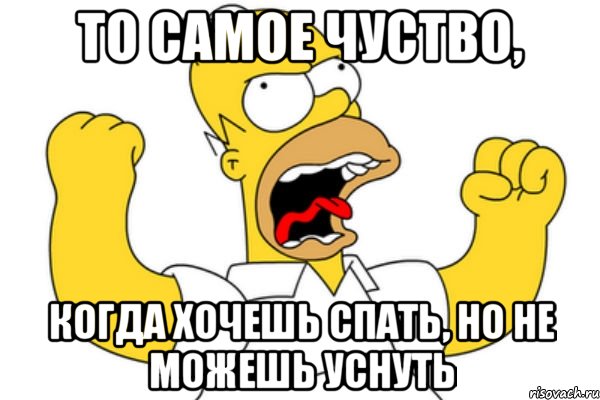 то самое чуство, когда хочешь спать, но не можешь уснуть, Мем Разъяренный Гомер