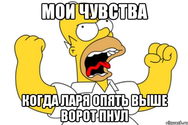 мои чувства когда ларя опять выше ворот пнул, Мем Разъяренный Гомер