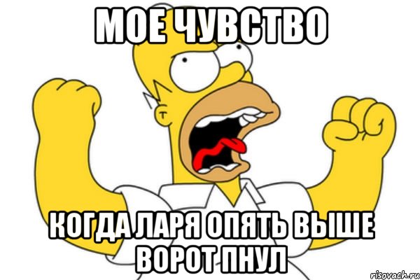 мое чувство когда ларя опять выше ворот пнул, Мем Разъяренный Гомер