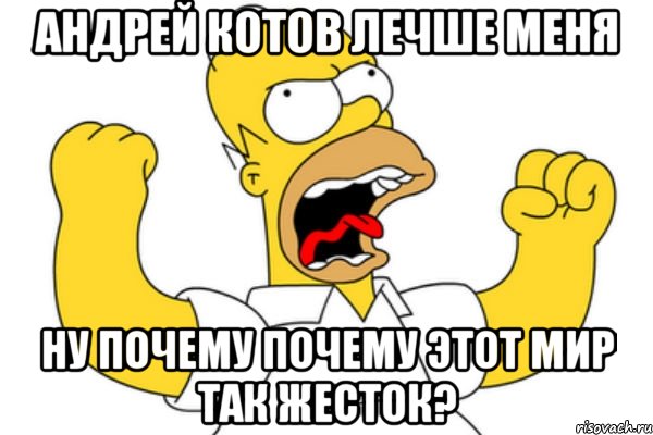 андрей котов лечше меня ну почему почему этот мир так жесток?, Мем Разъяренный Гомер