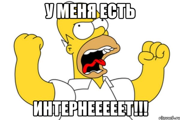 у меня есть интернееееет!!!, Мем Разъяренный Гомер