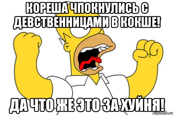 кореша чпокнулись с девственницами в кокше! да что же это за хуйня!, Мем Разъяренный Гомер