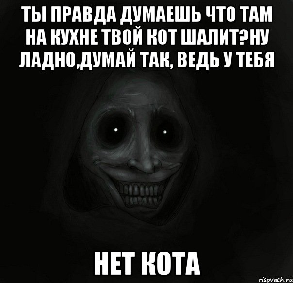 ты правда думаешь что там на кухне твой кот шалит?ну ладно,думай так, ведь у тебя нет кота, Мем Ночной гость