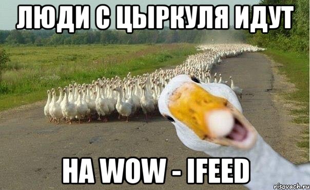 люди с цыркуля идут на wow - ifeed, Мем гуси