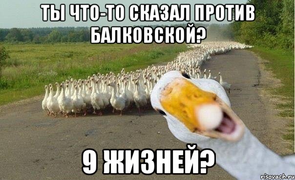 ты что-то сказал против балковской? 9 жизней?, Мем гуси