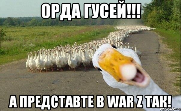 орда гусей!!! а представте в war z так!, Мем гуси