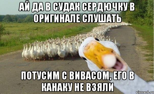 ай да в судак сердючку в оригинале слушать потусим с вивасом, его в канаку не взяли, Мем гуси