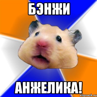 бэнжи анжелика!, Мем Хомяк