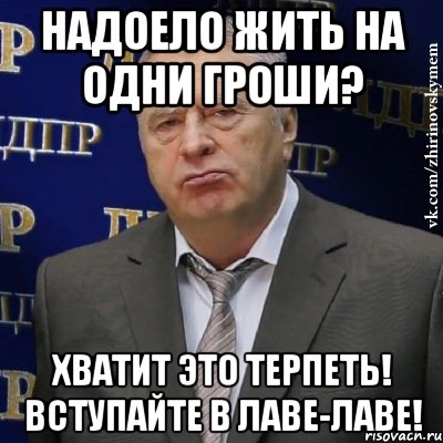 надоело жить на одни гроши? хватит это терпеть! вступайте в лаве-лаве!, Мем Хватит это терпеть (Жириновский)