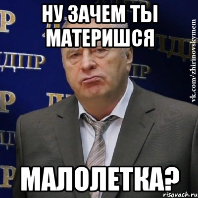 ну зачем ты материшся малолетка?, Мем Хватит это терпеть (Жириновский)