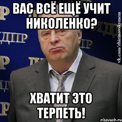 вас всё ещё учит николенко? хватит это терпеть!, Мем Хватит это терпеть (Жириновский)