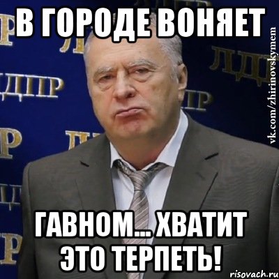 в городе воняет гавном... хватит это терпеть!, Мем Хватит это терпеть (Жириновский)