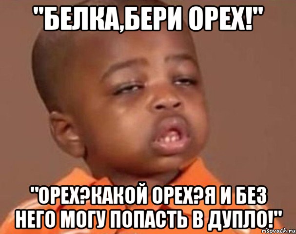 "белка,бери орех!" "орех?какой орех?я и без него могу попасть в дупло!", Мем  Какой пацан (негритенок)