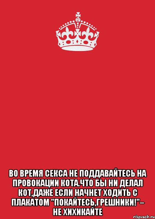  во время секса не поддавайтесь на провокации кота.что бы ни делал кот,даже если начнет ходить с плакатом "покайтесь,грешники!"– не хихикайте, Комикс Keep Calm 3