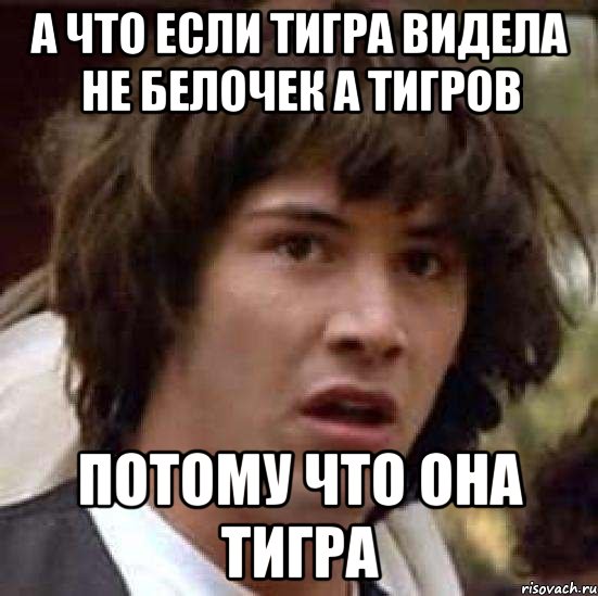 а что если тигра видела не белочек а тигров потому что она тигра, Мем А что если (Киану Ривз)