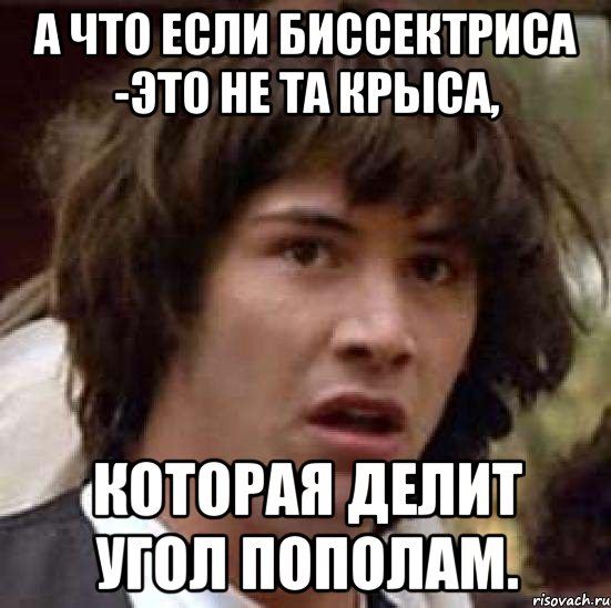 а что если биссектриса -это не та крыса, которая делит угол пополам., Мем А что если (Киану Ривз)