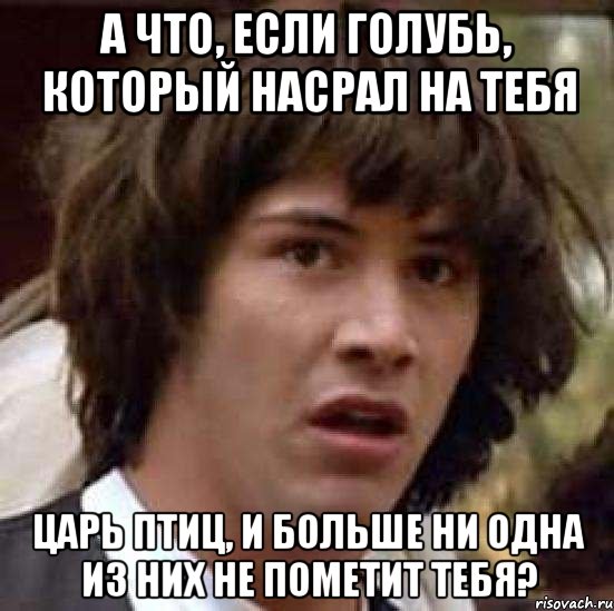 а что, если голубь, который насрал на тебя царь птиц, и больше ни одна из них не пометит тебя?, Мем А что если (Киану Ривз)