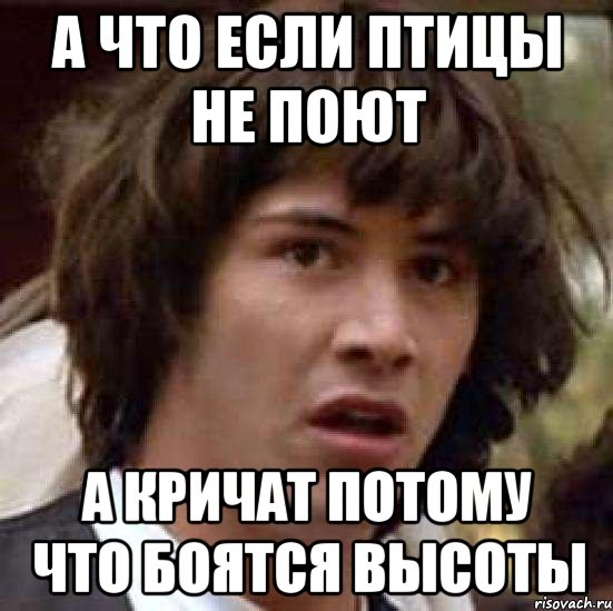 а что если птицы не поют а кричат потому что боятся высоты, Мем А что если (Киану Ривз)