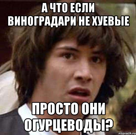 а что если виноградари не хуевые просто они огурцеводы?, Мем А что если (Киану Ривз)