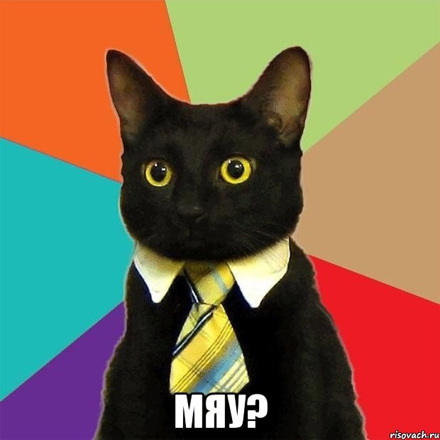  мяу?