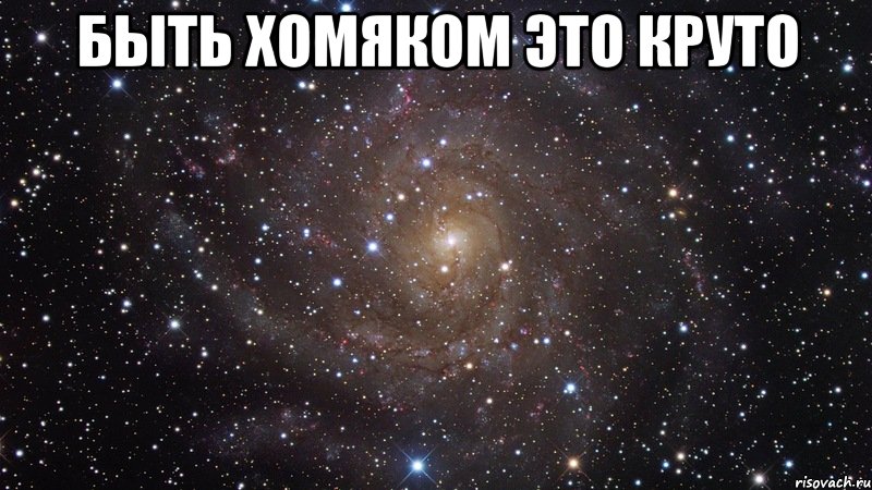 быть хомяком это круто , Мем  Космос (офигенно)