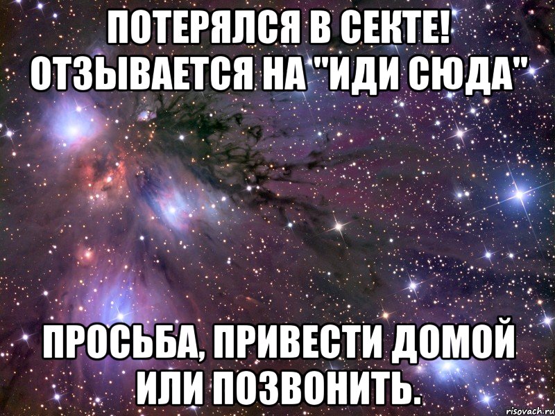 потерялся в секте! отзывается на "иди сюда" просьба, привести домой или позвонить., Мем Космос