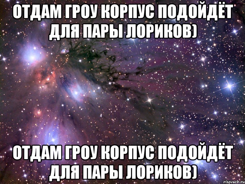 отдам гроу корпус подойдёт для пары лориков) отдам гроу корпус подойдёт для пары лориков), Мем Космос