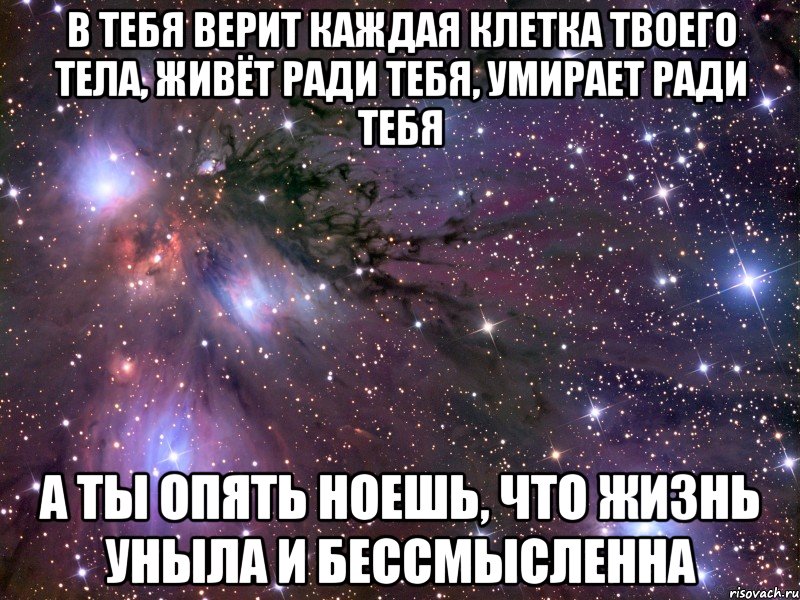 в тебя верит каждая клетка твоего тела, живёт ради тебя, умирает ради тебя а ты опять ноешь, что жизнь уныла и бессмысленна, Мем Космос