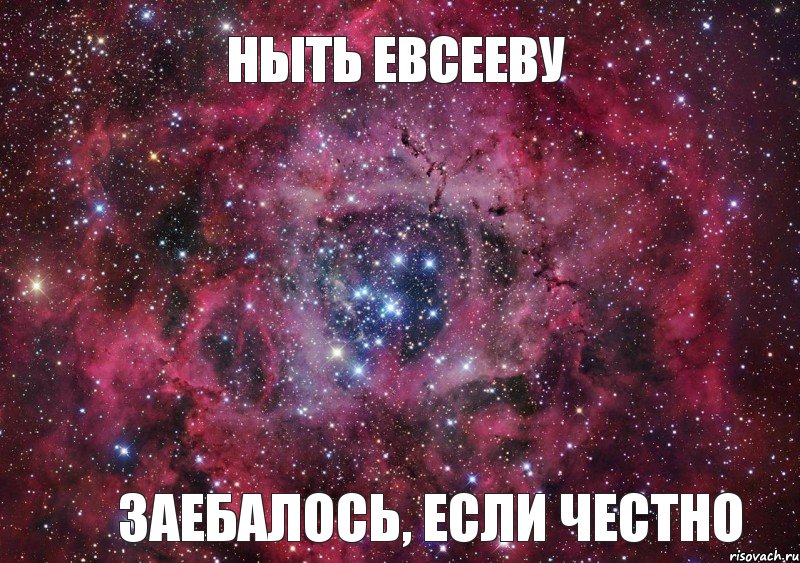 ныть Евсееву заебалось, если честно, Мем Ты просто космос