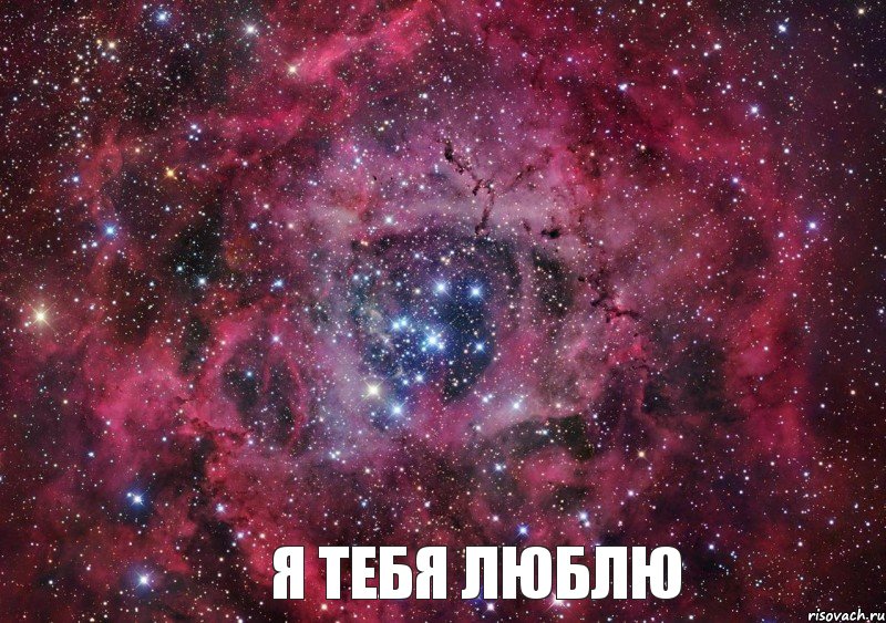  Я тебя люблю