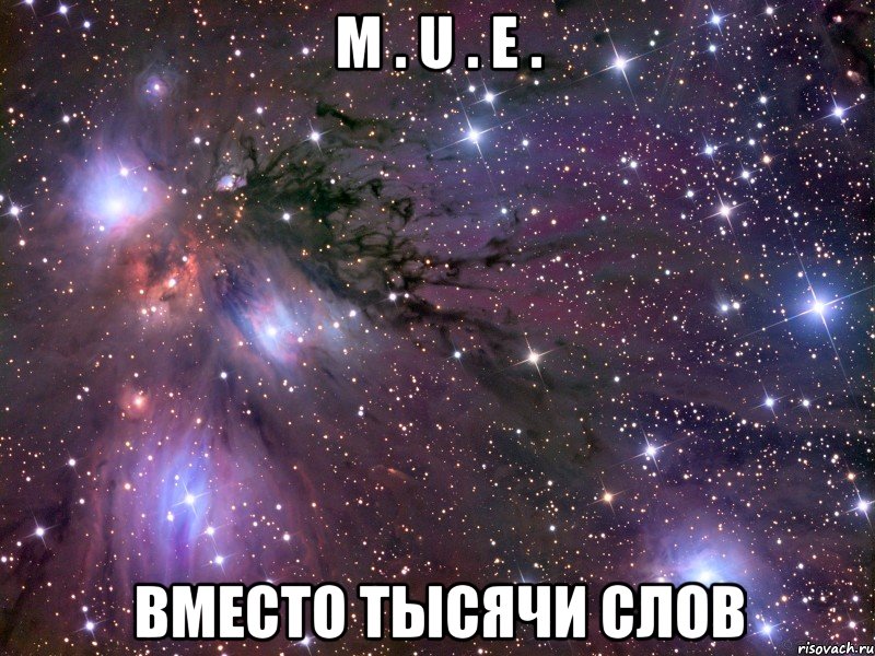 m . u . e . вместо тысячи слов, Мем Космос