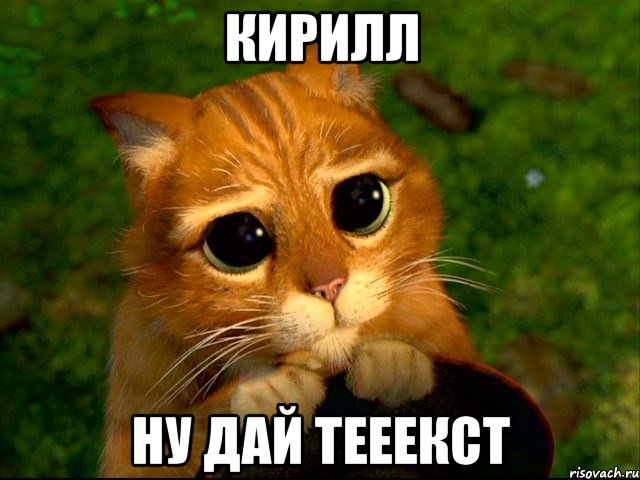 кирилл ну дай тееекст, Мем кот из шрека