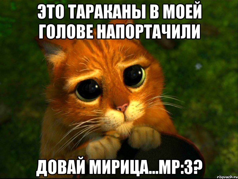 это тараканы в моей голове напортачили довай мирица...мр:з?, Мем кот из шрека