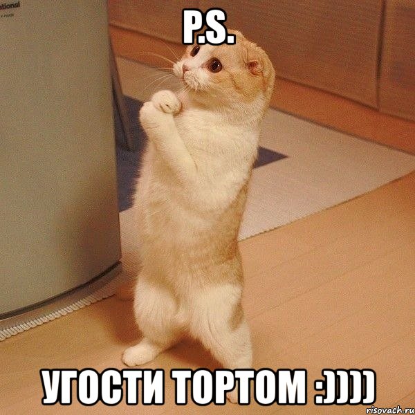 p.s. угости тортом :)))), Мем  котэ молится