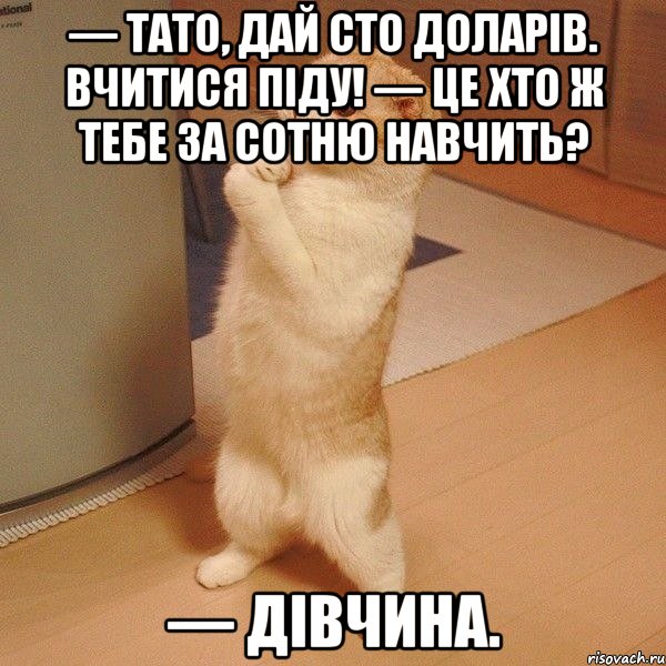 — тато, дай сто доларів. вчитися піду! — це хто ж тебе за сотню навчить? — дівчина., Мем  котэ молится