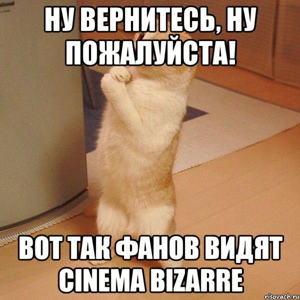 ну вернитесь, ну пожалуйста! вот так фанов видят cinema bizarre, Мем  котэ молится