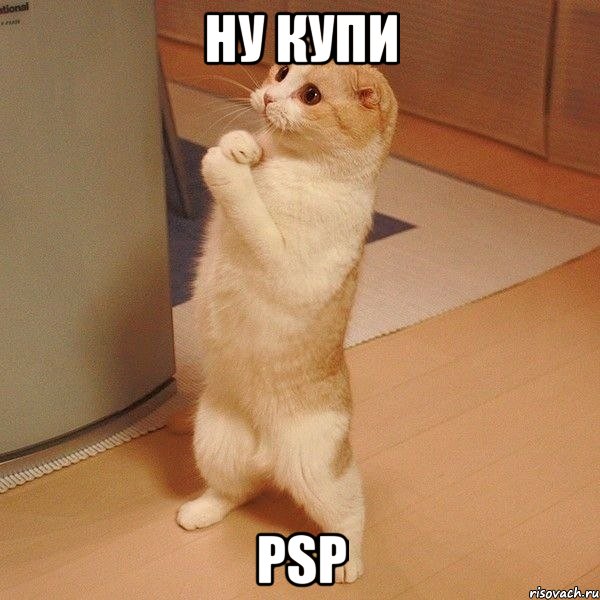 ну купи psp, Мем  котэ молится