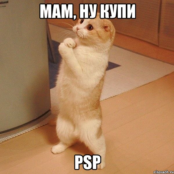 мам, ну купи psp, Мем  котэ молится