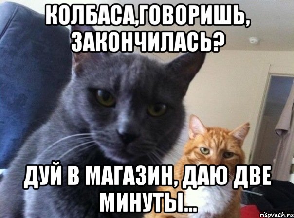 колбаса,говоришь, закончилась? дуй в магазин, даю две минуты..., Мем  Два котэ