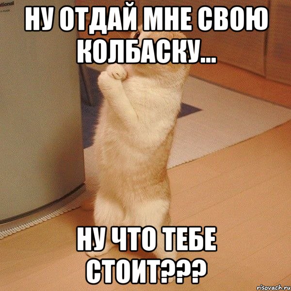 ну отдай мне свою колбаску... ну что тебе стоит???, Мем  котэ молится