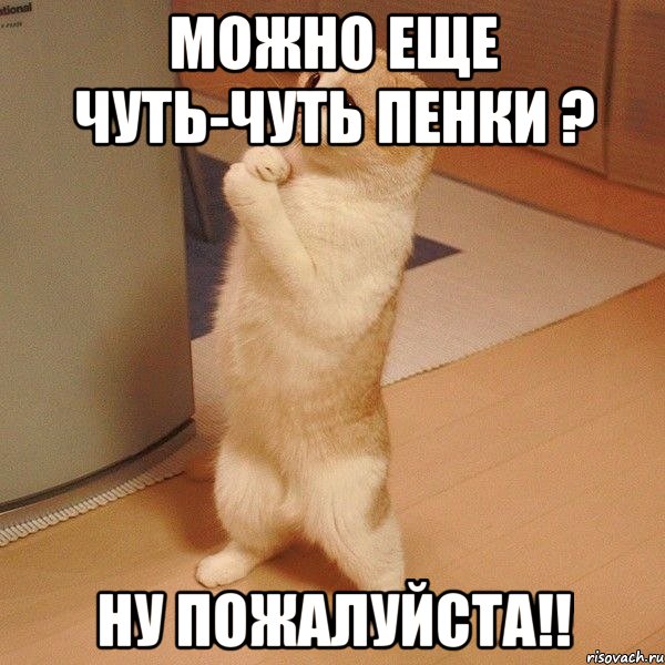 можно еще чуть-чуть пенки ? ну пожалуйста!!, Мем  котэ молится