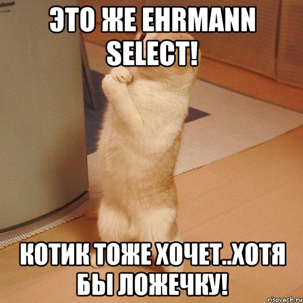 это же ehrmann select! котик тоже хочет..хотя бы ложечку!, Мем  котэ молится