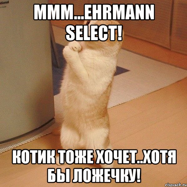 ммм...ehrmann select! котик тоже хочет..хотя бы ложечку!, Мем  котэ молится