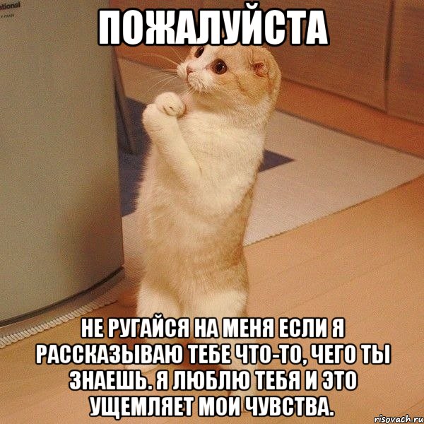 пожалуйста не ругайся на меня если я рассказываю тебе что-то, чего ты знаешь. я люблю тебя и это ущемляет мои чувства., Мем  котэ молится