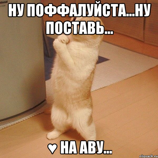 ну поффалуйста...ну поставь... ♥ на аву...